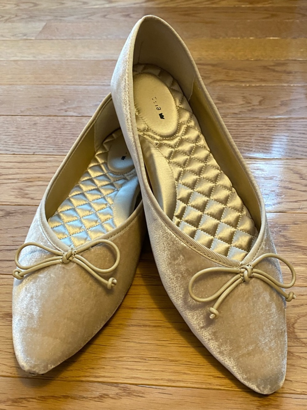Birdies The Goldfinch Velvet Pointed Ballet Flats in Champagne